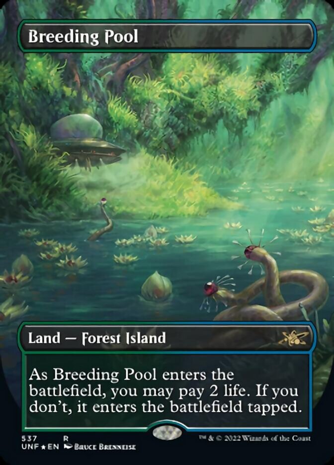 Breeding Pool (Borderless) (Galaxy Foil) [Unfinity] | Kessel Run Games Inc. 