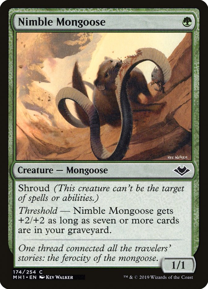 Nimble Mongoose [Modern Horizons] | Kessel Run Games Inc. 