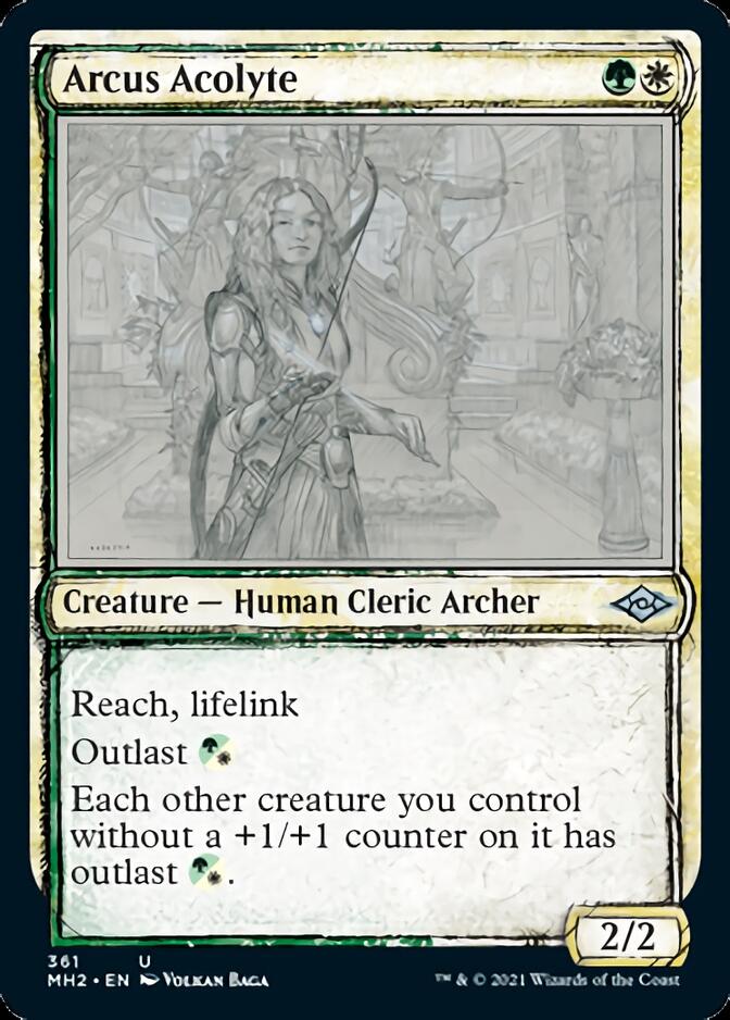 Arcus Acolyte (Sketch) [Modern Horizons 2] | Kessel Run Games Inc. 