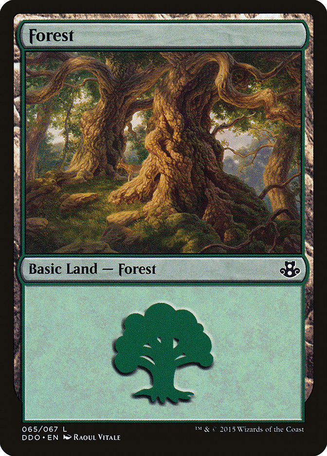 Forest (65) [Duel Decks: Elspeth vs. Kiora] | Kessel Run Games Inc. 