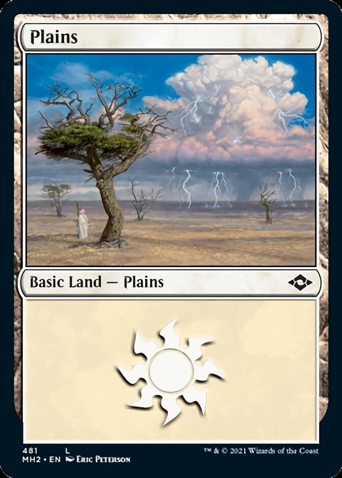 Plains (481) (Foil Etched) [Modern Horizons 2] | Kessel Run Games Inc. 