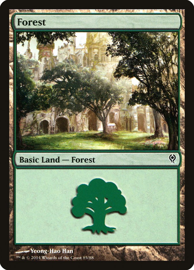 Forest (85) [Duel Decks: Jace vs. Vraska] | Kessel Run Games Inc. 