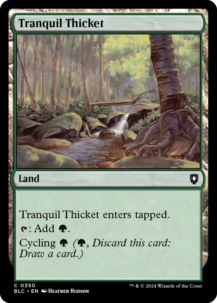 Tranquil Thicket [Bloomburrow Commander] | Kessel Run Games Inc. 