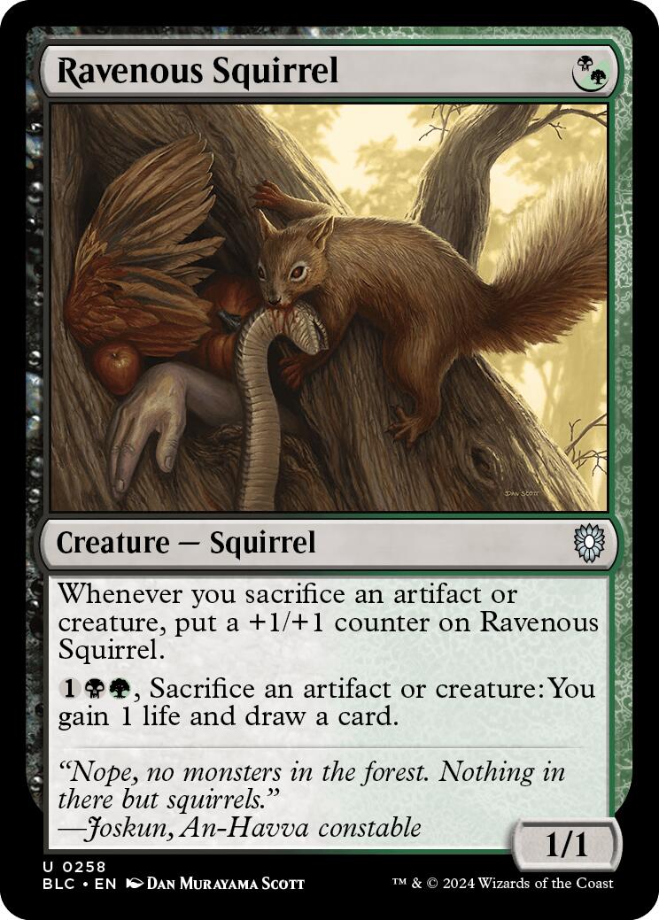 Ravenous Squirrel [Bloomburrow Commander] | Kessel Run Games Inc. 