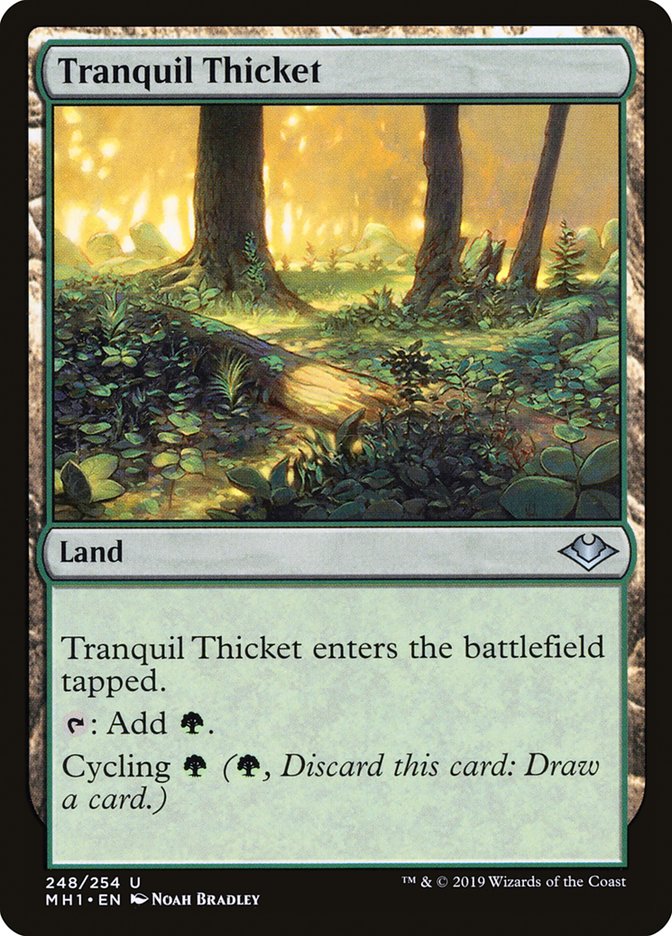 Tranquil Thicket [Modern Horizons] | Kessel Run Games Inc. 