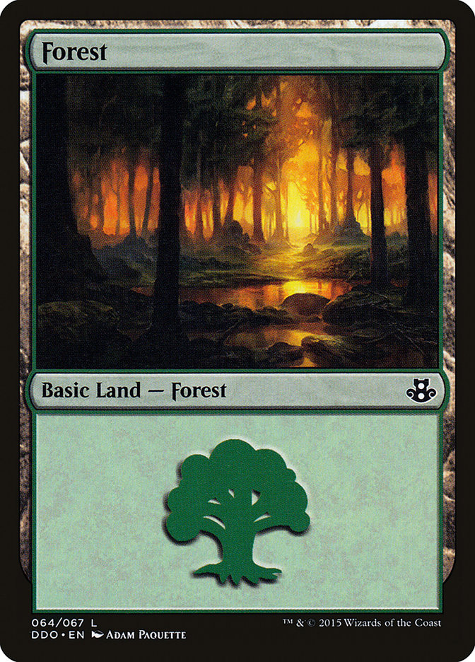 Forest (64) [Duel Decks: Elspeth vs. Kiora] | Kessel Run Games Inc. 