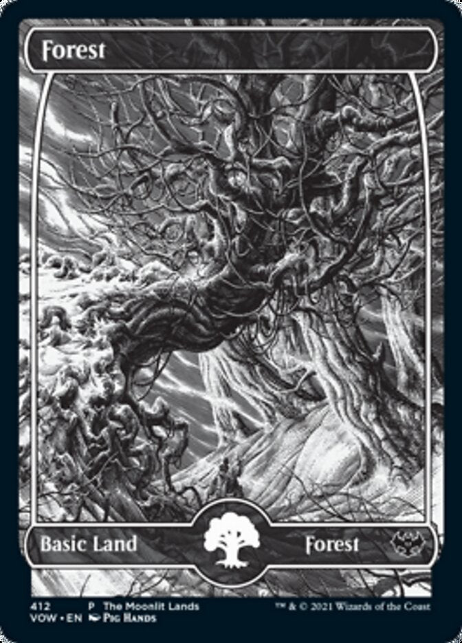 Forest (The Moonlit Lands) (Foil Etched) [Innistrad: Crimson Vow Promos] | Kessel Run Games Inc. 