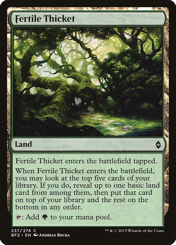 Fertile Thicket [Battle for Zendikar] | Kessel Run Games Inc. 