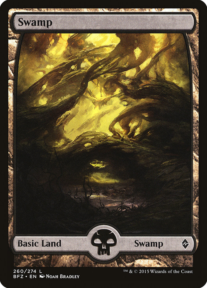 Swamp (260) (Full Art) [Battle for Zendikar] | Kessel Run Games Inc. 