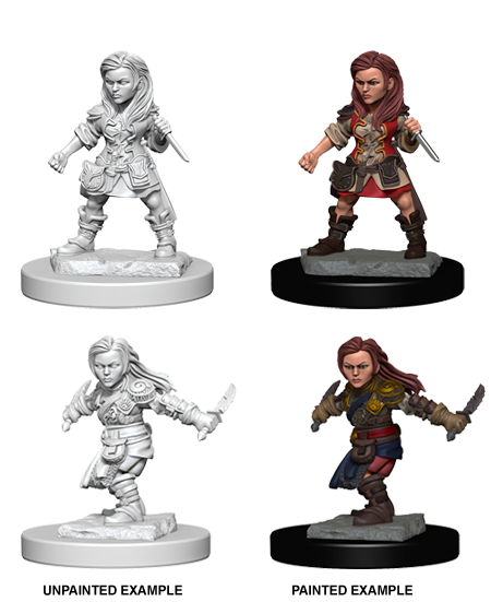 Female Halfling Rogue | Kessel Run Games Inc. 