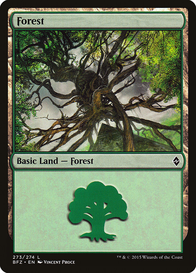 Forest (273) [Battle for Zendikar] | Kessel Run Games Inc. 