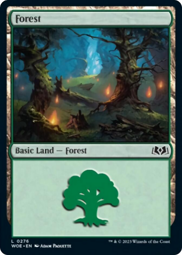 Forest (0276) [Wilds of Eldraine] | Kessel Run Games Inc. 