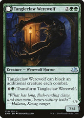 Tangleclaw Werewolf // Fibrous Entangler [Eldritch Moon] | Kessel Run Games Inc. 