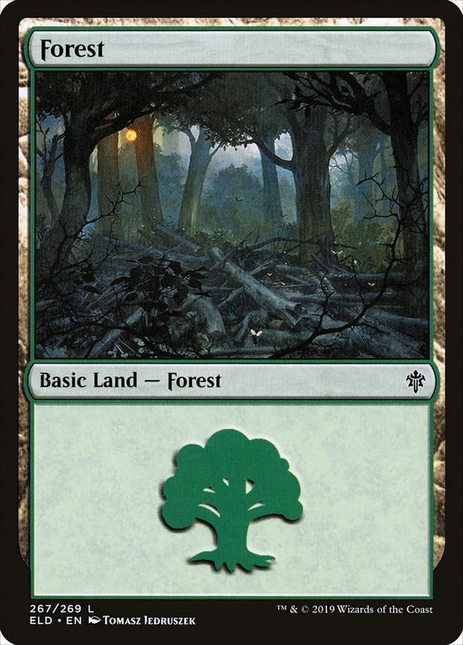 Forest (267) [Throne of Eldraine] | Kessel Run Games Inc. 