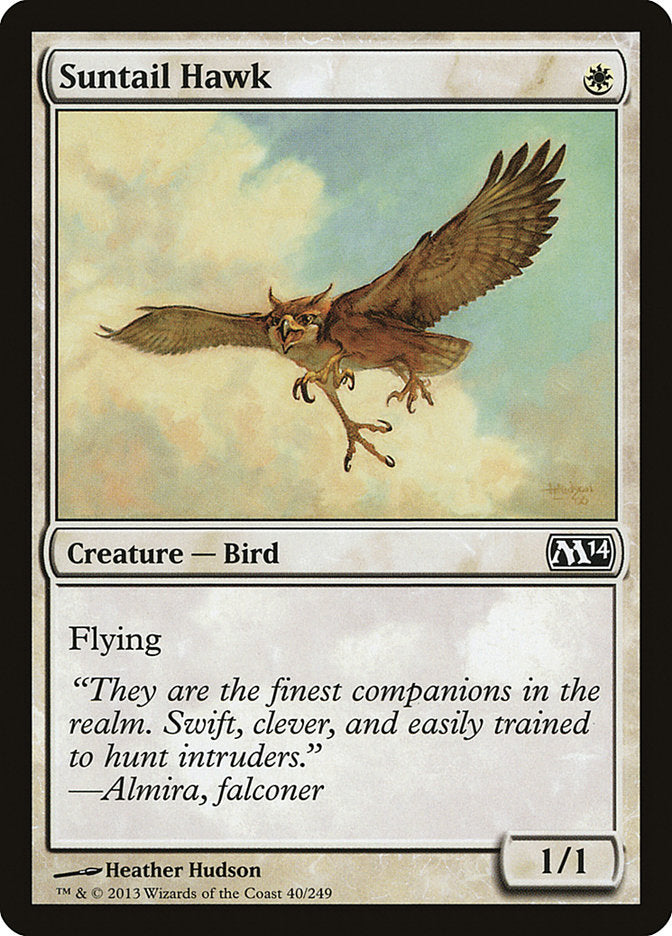 Suntail Hawk [Magic 2014] | Kessel Run Games Inc. 