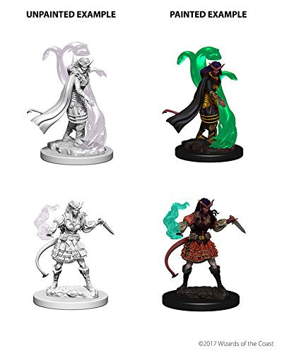 Nolzur’s Marvelous Miniatures: Female Tiefling Sorcerer | Kessel Run Games Inc. 