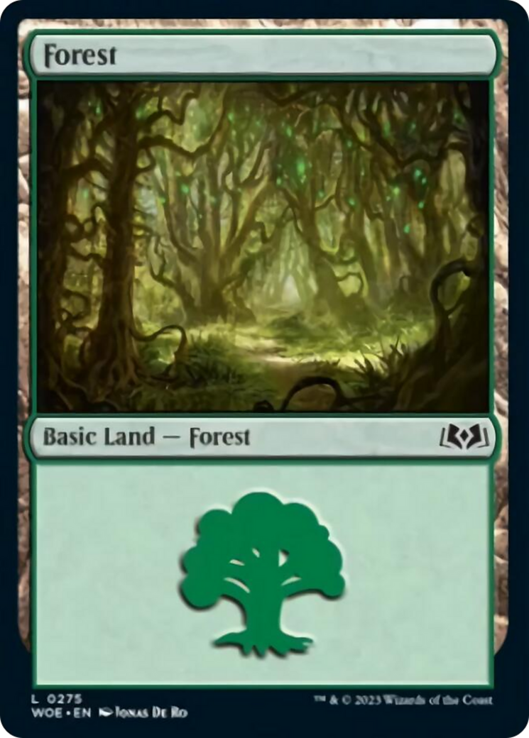 Forest (0275) [Wilds of Eldraine] | Kessel Run Games Inc. 