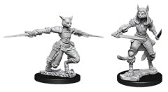 Female Tabaxi Rogue | Kessel Run Games Inc. 