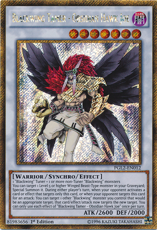 Blackwing Tamer - Obsidian Hawk Joe [PGL2-EN012] Gold Secret Rare | Kessel Run Games Inc. 