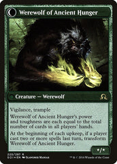 Sage of Ancient Lore // Werewolf of Ancient Hunger [Shadows over Innistrad Prerelease Promos] | Kessel Run Games Inc. 