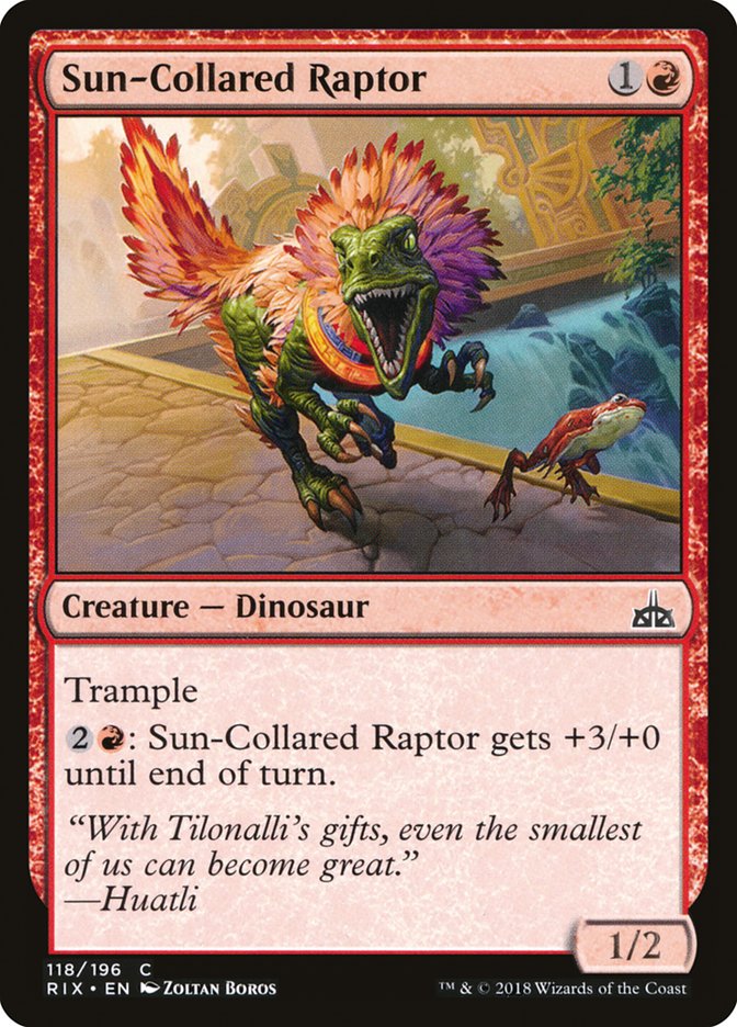 Sun-Collared Raptor [Rivals of Ixalan] | Kessel Run Games Inc. 