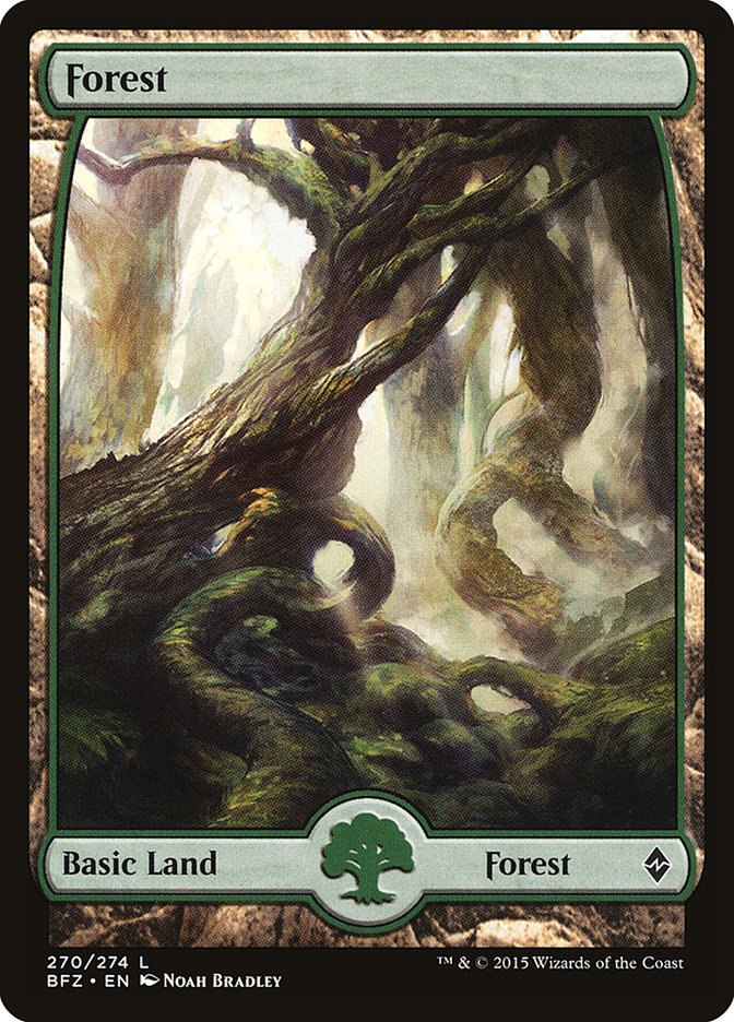 Forest (270) (Full Art) [Battle for Zendikar] | Kessel Run Games Inc. 