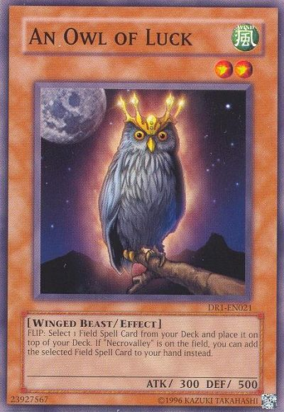 An Owl of Luck [DR1-EN021] Common | Kessel Run Games Inc. 