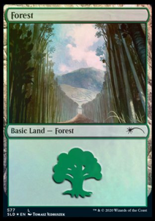 Forest (Walls) (577) [Secret Lair Drop Promos] | Kessel Run Games Inc. 
