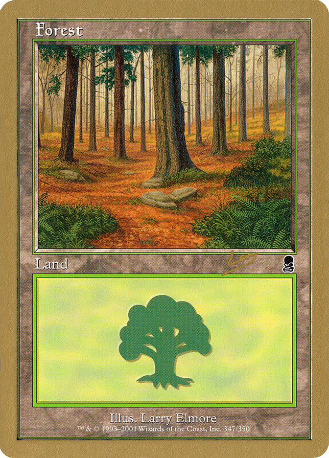 Forest (rl347) (Raphael Levy) [World Championship Decks 2002] | Kessel Run Games Inc. 