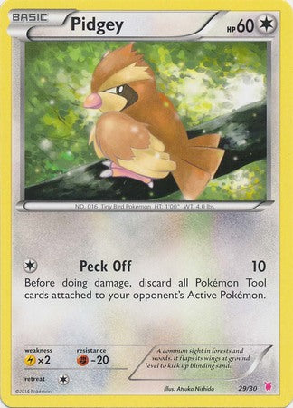 Pidgey (29/30) [XY: Trainer Kit 1 - Wigglytuff] | Kessel Run Games Inc. 