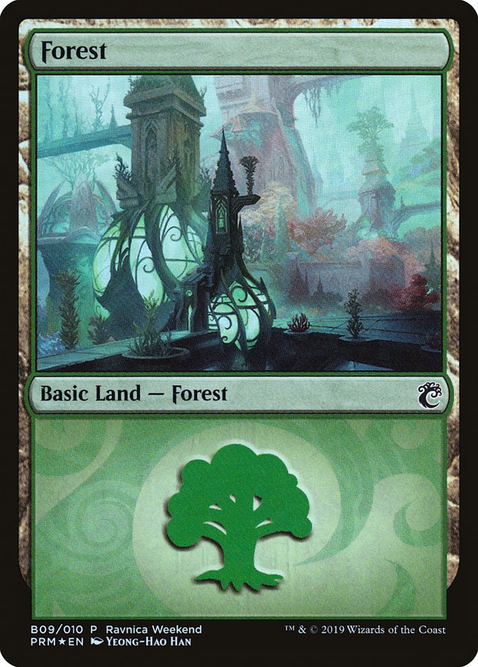 Forest (B09) [Ravnica Allegiance Guild Kit] | Kessel Run Games Inc. 