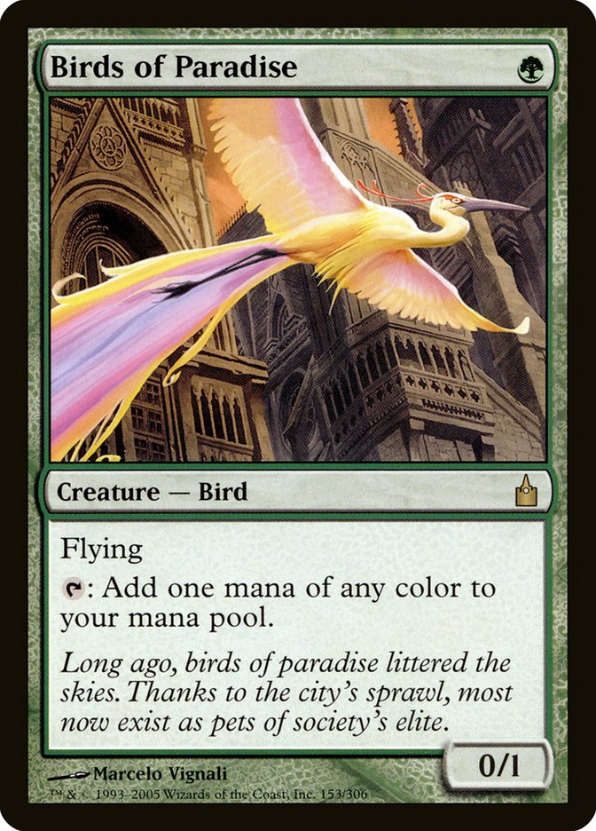 Birds of Paradise [Ravnica: City of Guilds] | Kessel Run Games Inc. 