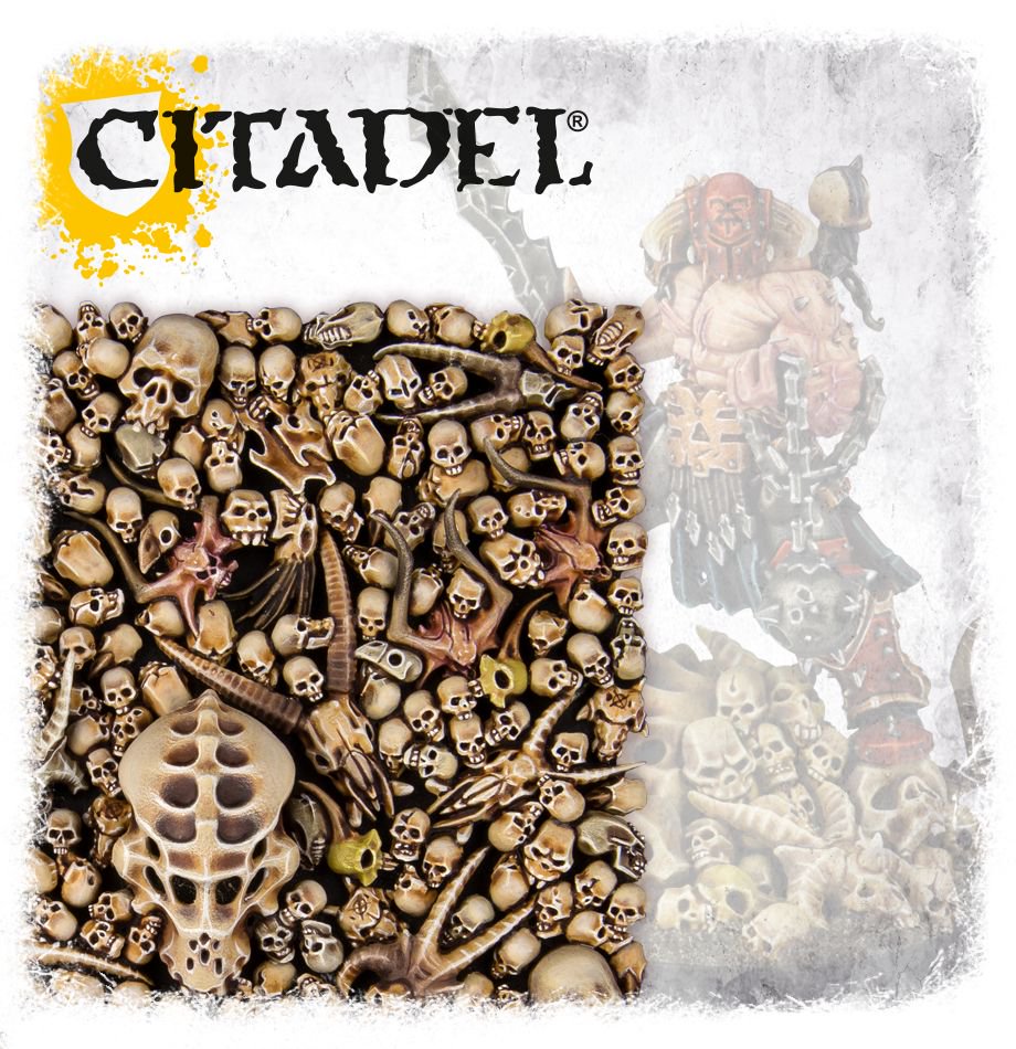 Citadel Skulls | Kessel Run Games Inc. 