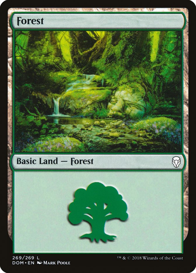 Forest (269) [Dominaria] | Kessel Run Games Inc. 