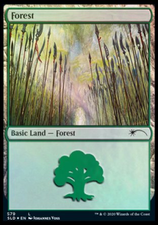 Forest (Elves) (579) [Secret Lair Drop Promos] | Kessel Run Games Inc. 