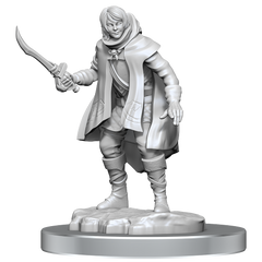 Nolzurs Marvellous Miniatures: Elf Rogue/Half-Elf Rogue | Kessel Run Games Inc. 