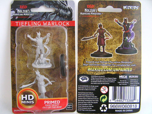 Nolzur’s Marvelous Miniatures: Male Tiefling Warlock | Kessel Run Games Inc. 
