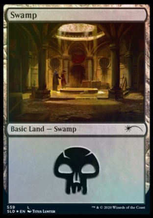 Swamp (Rogues) (559) [Secret Lair Drop Promos] | Kessel Run Games Inc. 