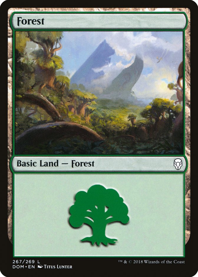 Forest (267) [Dominaria] | Kessel Run Games Inc. 