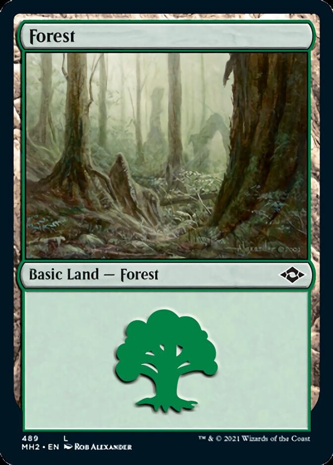 Forest (489) (Foil Etched) [Modern Horizons 2] | Kessel Run Games Inc. 