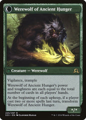 Sage of Ancient Lore // Werewolf of Ancient Hunger [Shadows over Innistrad] | Kessel Run Games Inc. 
