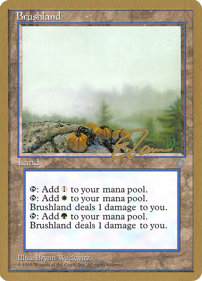 Brushland (Eric Tam) [Pro Tour Collector Set] | Kessel Run Games Inc. 