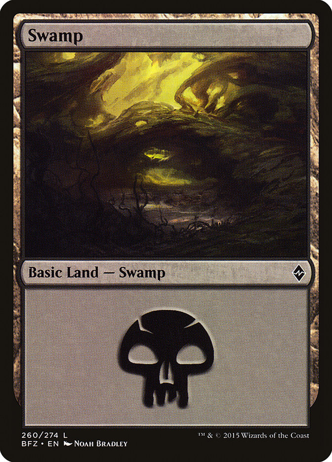 Swamp (260) [Battle for Zendikar] | Kessel Run Games Inc. 