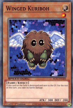 Winged Kuriboh [SGX1-ENA06] Common | Kessel Run Games Inc. 