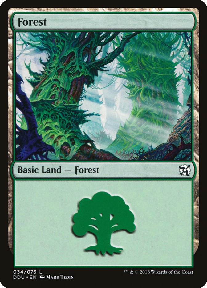 Forest (34) [Duel Decks: Elves vs. Inventors] | Kessel Run Games Inc. 