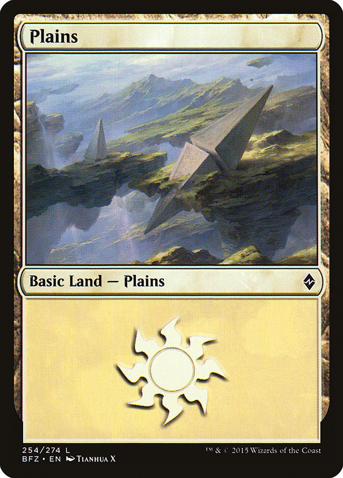 Plains (254) [Battle for Zendikar] | Kessel Run Games Inc. 