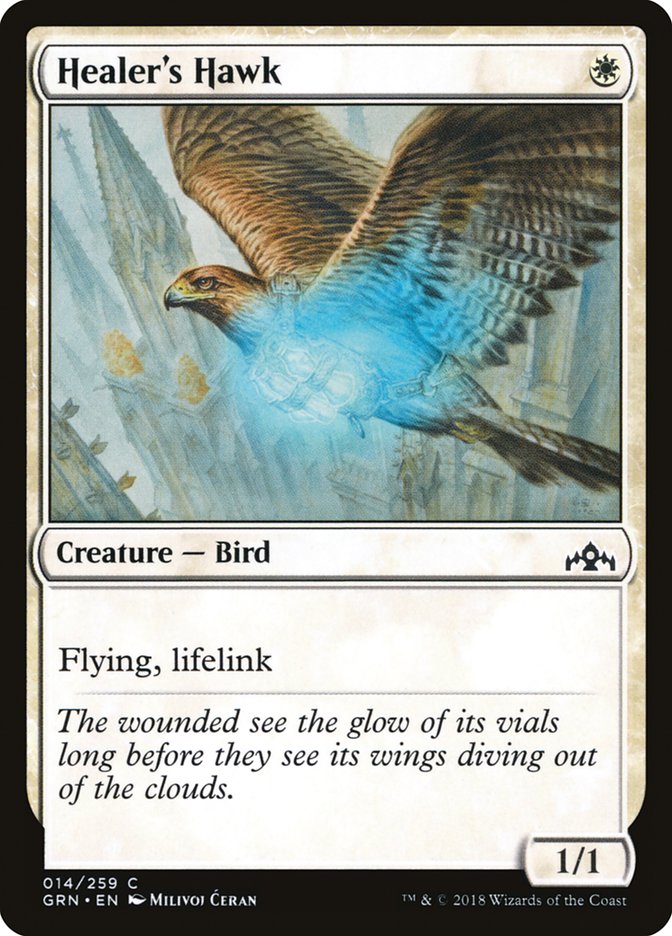 Healer's Hawk [Guilds of Ravnica] | Kessel Run Games Inc. 