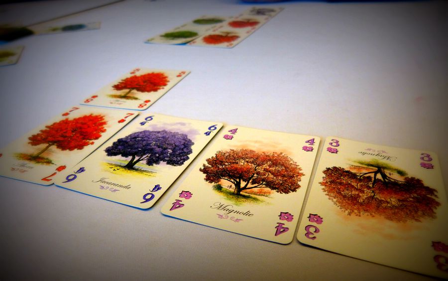 Arboretum | Kessel Run Games Inc. 